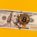 年收入百万美金亚马逊产品_亚马逊卖家仅上架一款产品创造100万美元收入