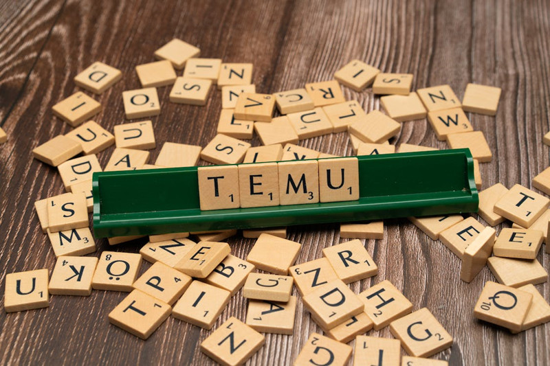 本年度跨境黑马TEMU平台_解析TEMU2024蕞新全球战略规划.jpg