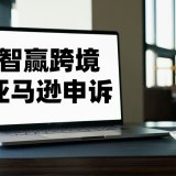 亚马逊爆款起诉侵权_侵权案件包括亚马逊上月销5W+的大爆款