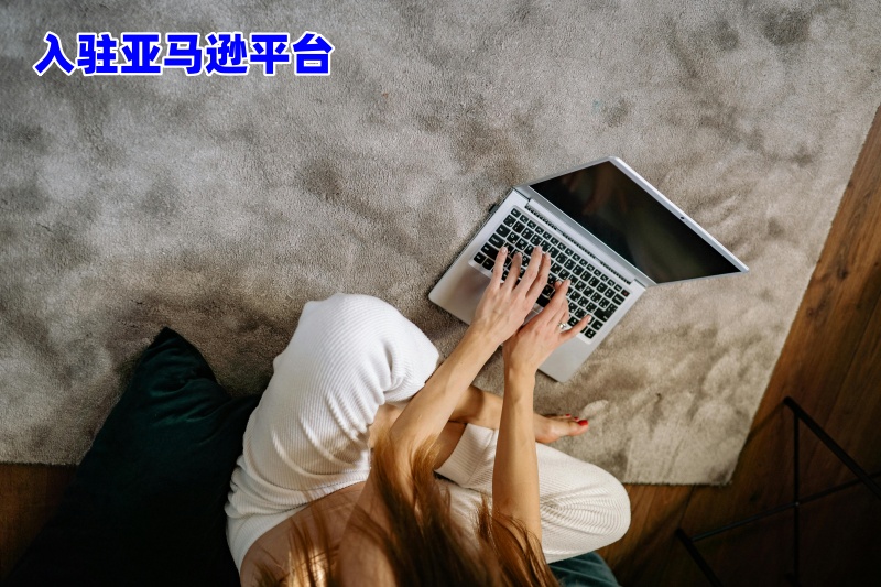 入驻亚马逊需要多少费用-2025年新手驻入亚马逊该从哪个站点入手呢.jpg