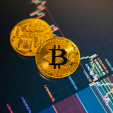 美国多品类电商订单同比下降超10%_亚马逊低价商城Haul首次参战Prime Day