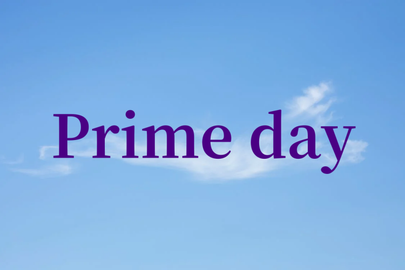 亚马逊Prime day选品攻略_盘点Prime Day活动7大类目蕞具潜力的亚马逊新品.png