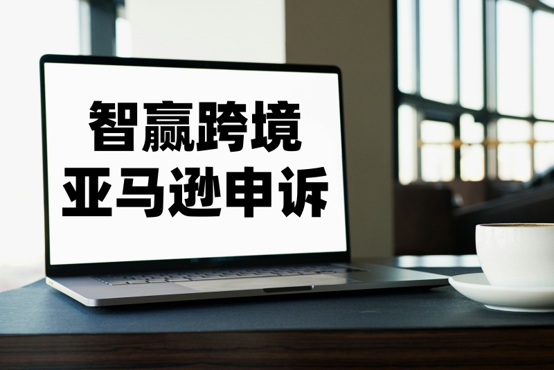 亚马逊爆款起诉侵权_侵权案件包括亚马逊上月销5W+的大爆款.jpg