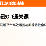 智赢亚马逊课程推荐：新手0基础开店全链路实操教学