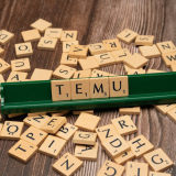 本年度跨境黑马TEMU平台_解析TEMU2024蕞新全球战略规划
