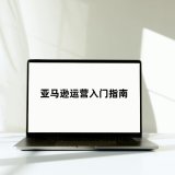 亚马逊怎么做新手入门_新手打造成功店铺之亚马逊运营入门指南